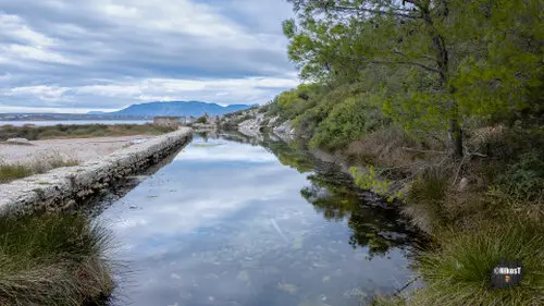 Υδροβιότοπο Κοκκώσι Κορινθία